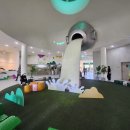 제166차 임실 옥정호 붕어섬, 출렁다리 / 장성 황룡강 가을꽃축제 행복한 도보여행 이미지