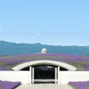 두대로-3 이미지