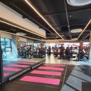 리라 핏 | 안산, 새솔동 리라핏 맥스 트레이너의 체계적인 PT, 헬스 초보도 꾸준히 다니는 이유