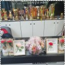 후 태권도장 이미지