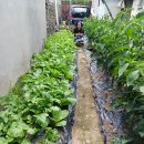 하나원주유소 이미지