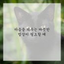 보석식당 이미지