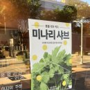 빽다방대구고성동오페라점 | [대구 북구] 침산동 맛집 1인 샤브샤브 스구식탁