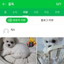 나드리독 이미지