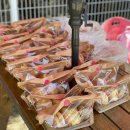 초원켄넬 이미지