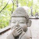 여수봉황산자연휴양림 이미지