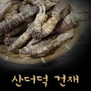 베스트 건재 이미지