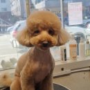 유스타 그루밍 이미지