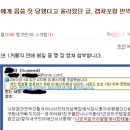 여우공방