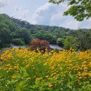 마곡사경내 이미지