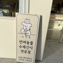 쿠킹독 | 둥둥이의 하루 ) 반려동물 수제간식점 제주 노형동 쿠킹독 (cookingdog) 방문 후기!