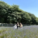 예산목장 이미지