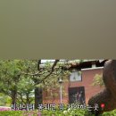 신둔 체육공원 축구장 이미지