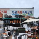 영양원예，조경자재 네이버블로그