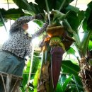 김용태농장 이미지