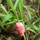 호원농장 이미지