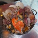 지금조개 이미지