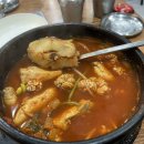 동아리 동태찜탕 이미지