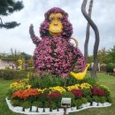 제천푸른솔산악회/ 대둔산 단풍산행+대전 단풍,국화축제기행 이미지