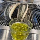 백마강 민물장어 이미지