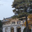 힐데스하임 호암문 앞 | 호암미술관 단풍 구경 &amp; 루이즈 부르주아 전시 후기 | 11월 초 호암미술관 단풍 현황