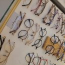 채플린안경콘택트도청점 위드렌즈 이미지