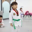 배울태권도장 이미지