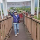 횡성 서초휴양소 Daum카페