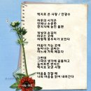 색동 이미지