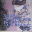 함라건강원