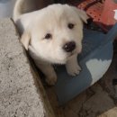 삼박농장 이미지