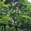 서울의달 이미지