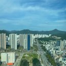 유림-1115 이미지