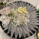 포항가자미회 | 포항 영일대 횟집 맛집 참가자미회 오징어회 야장 술집 : 오늘도가자미