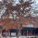 송광사길상식당 이미지