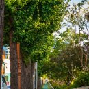 일상을 드로잉하는 어반스케치 이미지