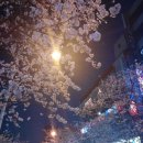 호암한방병원 이미지