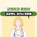 경상북도 경산시 정평동 교정치과 총정리