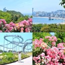 울릉도 여행 참고 사항 이미지