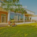 아도니스민박 | (준비)제주도 보름살기 - 숙소예약 / 탁송