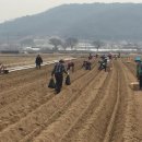 새마을농장 이미지