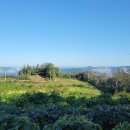 영등농장 이미지