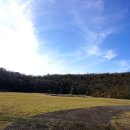 교래자연휴양림야영장 이미지