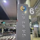 노형오거리/노형초방면 (노형초등학교방면) | 제주 노형 연동 방면 시내버스 대중교통 노선도 리무진 배차 정류장 시간표 공항 게이트 (365번 316번...