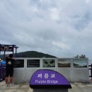 씨사이드모텔2 이미지
