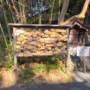 소나무약국 | 부산 출발 시즈오카 패키지 4일 여행 후기 1일차 시즈오카현청 전망대, 미호노 마츠바라, 오부치사사바...