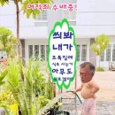 광주-비엔날레 행사에 김건희 여사를 초대 하겠다는 광주시장의 생각은? 이미지