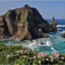 국립문화재연구소 이미지