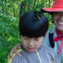 충암초등학교 이미지