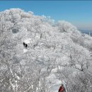 1월26일(토요일) 계방산(강원/평창) 블랙야크 100대 명산 눈꽃 및 설경산행 이미지